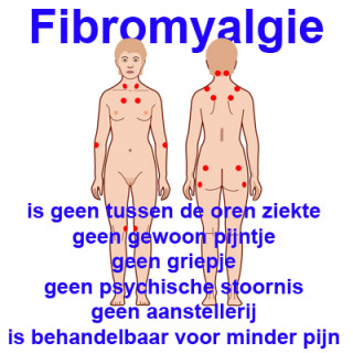 Fibromyalgie  - image