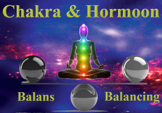 
Behandeling  & Workshop  Chakra & Hormoon Balancing
Voorlopig alleen de behandeling
 - image