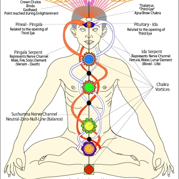 workshop-chakra-healing