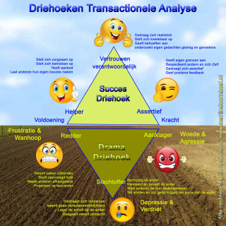 Transactionele Analyse Transactionele Analyse - image