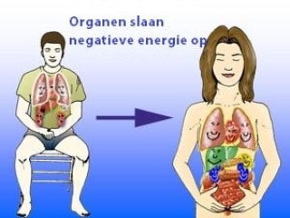 Energeën in organen Energeën in organen - image