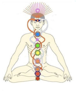 Chakra\'s & de lichamen Chakra\'s & de lichamen - image